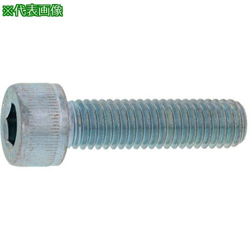 ■SUNCO CAP(日星精工 6 × 95 (100本入)〔品番:A000000C0060095000〕【2479452:0】[送料別途見積り][掲外取寄][店頭受取不可]