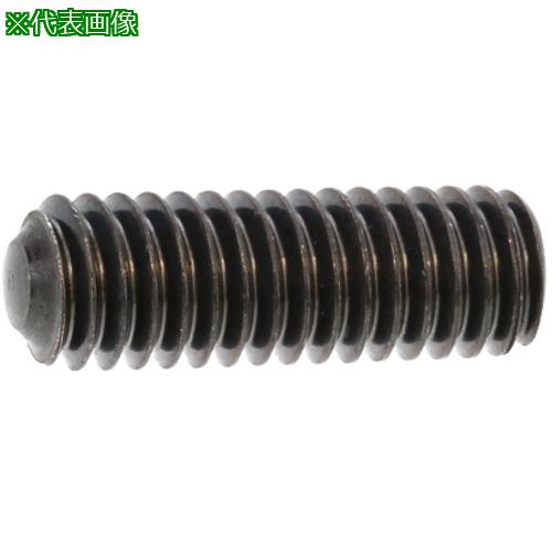 SUNCO ֥å HS(ʥ  2 X 4 (1000):A000509M0020004004͡2483599:0[ӸѤ][ǳ][ŹƬԲ]