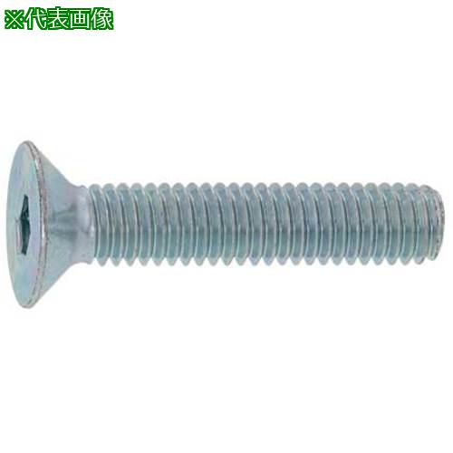 ■SUNCO 三価ブラック サラCAP(TKS 10×55 (50本入)〔品番:A000200T0100055004〕【2484987:0】[送料別途見積り][掲外取寄][店頭受取不可]