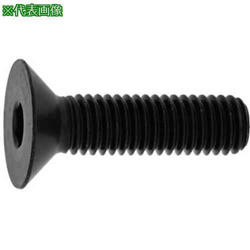 ■SUNCO BC サラCAP(日産ネジ JIS 5×50 (400本入)〔品番:A00020JN0050050010〕【2484991:0】[送料別途見積り][掲外取寄][店頭受取不可]