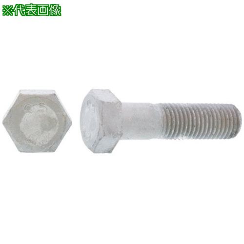 ■SUNCO SUS316L 六角ボルト(輸入品 12X50(ハン (50本入)〔品番:B012U0100120050000〕【2548435:0】[送料別途見積り][掲外取寄][店頭受取不可]