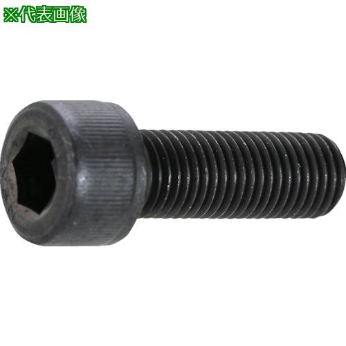 TRUSCO ϻѷեܥ   ͥ M1645 P1.5 4 /åץܥ(CAP):B1501645P1.5͡2580724:0[ŹƬԲ]