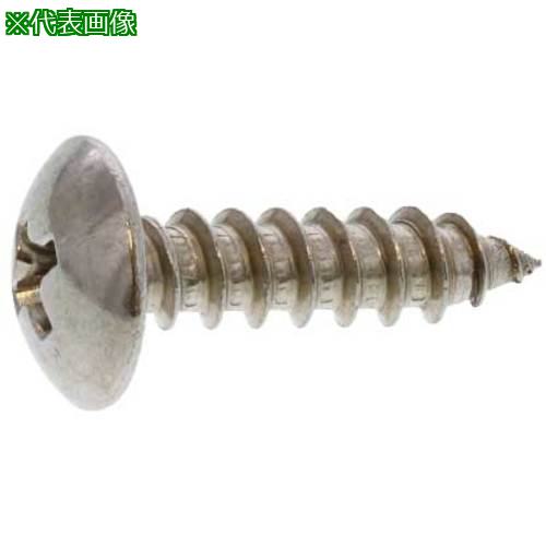 ■SUNCO ステン(+)Aトラス(T 5×50 (100本入)〔品番:2002U0030050050000〕【2582025:0】[送料別途見積り][掲外取寄][店頭受取不可]