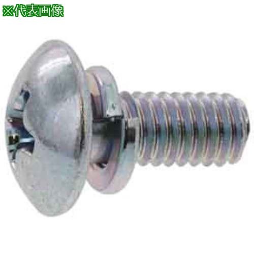 ■SUNCO 組込みねじ (+)トラス P=2(鉄(