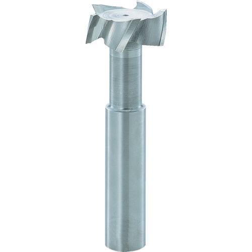 ■FKD Tスロットエンドミル16×5〔品番:TSE16X5〕【2614227:0】[店頭受取不可]