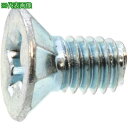 ■SUNCO 三価ホワイト Sタイプサラ 逆セレート付き 3×10 (5000本入)〔品番:300000P10030010003〕【2614447:0】[送料別...