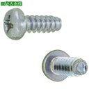 ■SUNCO 三価ホワイト Bタイプナベ 2×3 Gナシ (20000本入)〔品番:300010000020003003〕【2619365:0】[送料別途見積り...
