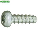 ■SUNCO クロニッケル TOR× Pタイプ ナベ 2×10 T6 (10000本入)〔品番:30002T000020010021〕【2628720:0】[送...