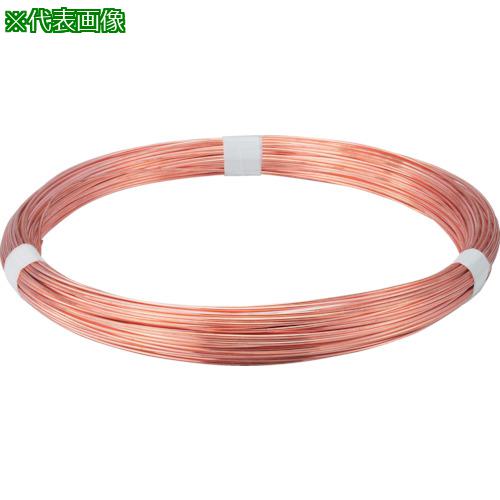 TRUSCO Ƽ˶ #12 2.6mm 1kg:TDW26͡2825805:0[ŹƬԲ]
