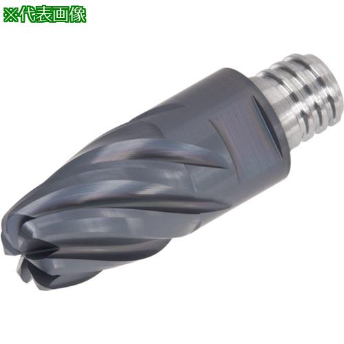 󥬥 5ù襤ù ֥Ρإå 6 AH7152ա:VBN120L15.0R5006S08͡28680432:0[ӸѤ][ǳ][ŹƬԲ]