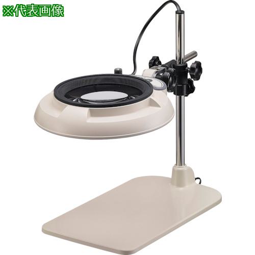 ĥ LED ENVL-B 2 ARȥա:ENVLB2XAR͡3126248:0[ӸѤ][ǳ][ŹƬ...