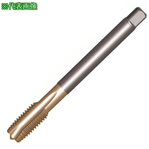 Rakuten - ■SANDVIK コロタップ200 ポイントタップ(781) B110〔品番:T200XM100DK12〕【3267455:0】[送料別途見積り][店頭受取不可]