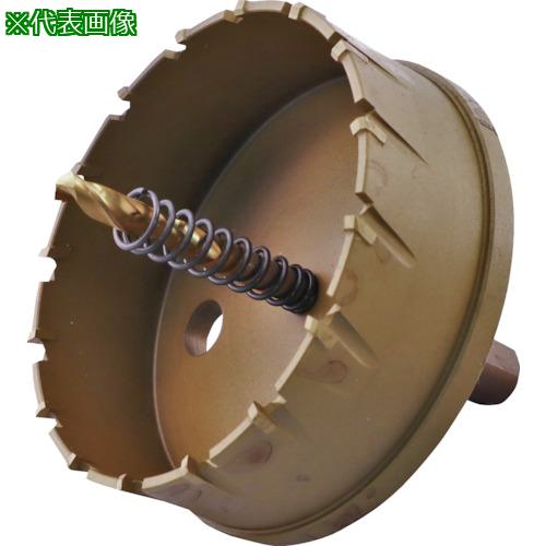 ■エビ 超硬ホルソー(チタンコーティング) 95mm〔品番:HO95G〕【3315177:0】[店頭受取不可]