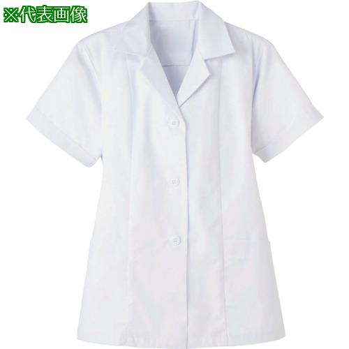 ■サンペックス 女子調理衣 半袖 抗菌〔品番:FA3374L〕【3381452:0】[法人・事業所限定][外直送元][店頭..