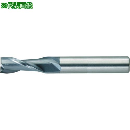 ˥ġ Ķťɥߥ  1߿Ĺ2:CCES20100200͡3408850:0[ŹƬԲ]