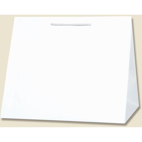 ■HEIKO 手提げ紙袋 T型チャームバッグ 晒白無地 W3 10枚入り〔品番:003160800〕【3434251:0】[送料別途見積り][掲外取寄][店頭受取不可]