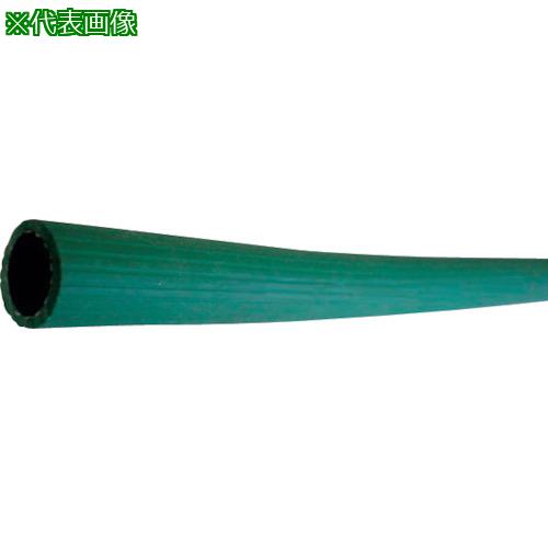 ʥ ɥۡ (SLD) 62S 100m:SLD6100͡3492186:0[ӸѤ][ˡ͡Ƚ...