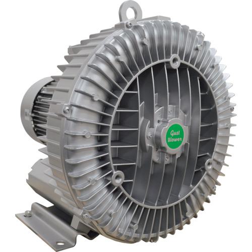 ư ήⰵ꡼ȥ֥꡼2.5/3.0kW:U2SH220͡3494562:0[ӸѤ][ˡ͡Ƚ]...