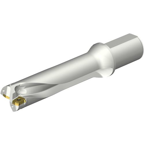 ■SANDVIK コロドリルDS20刃先交換式ドリル(465)〔品番:DS20D4700L5004〕【3512573:0】[送料別途見積り][掲外取寄][店頭受取不可]