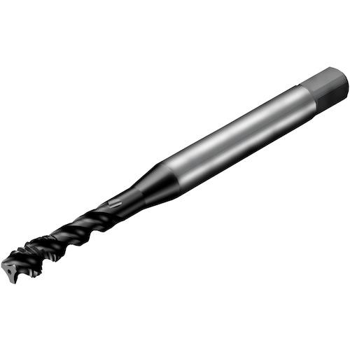 SANDVIK å300 ѥ륿å(780) P1PM:T300PM104AF1032͡3512640:0[ӸѤ][ŹƬԲ]