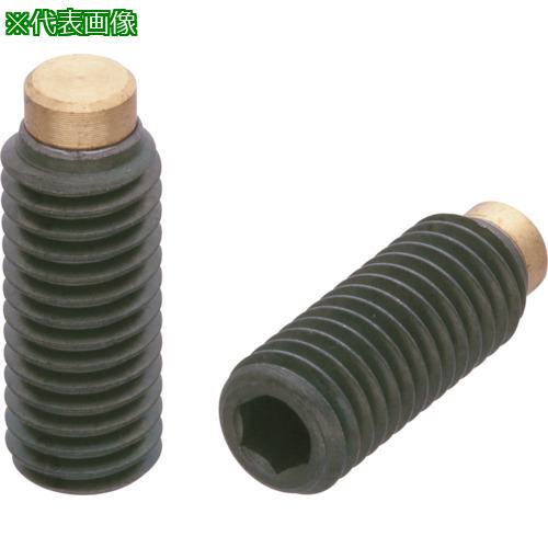 ■kipp パッド付きスクリュー〔品番:HSSB08X62〕【3518514:0】[送料別途見積り][掲外取寄][店頭受取不可]