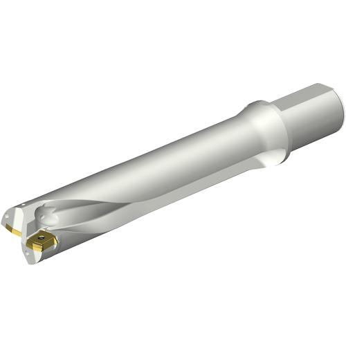 《メーカー》サンドビック（株）コロマントカンパニー《品番》DS20-D5400L50-05《特長》●ダブルステップテクノロジーによりスムーズな食いつきで加工が開始されます。●独自のフルート設計でスパイラル＋直線フルートを採用しています。●フルート断面形状は台形断面の中心刃と外周刃フルートで異なった形状をしています。●チップ設計:中心刃・外周刃とも4コーナー使用できます。●ダブルクーラントホール:クーラント穴をトップに配置しているため、切屑排出を高めます。《用途》●穴あけ用。《仕様》●切削径DC(mm):54●使用可能長さLU(mm):271.5891●機械側接続径DCONMS(mm):50●適合インサート:DS20-07・・・P、DS20-07・・・C《仕様2》●4つの穴あけ加工において信頼性、安定性、卓越した加工能力を実現する刃先交換式ドリル●円筒平取り付きシャンク●内部給油式●ミリバージョン《原産国（名称）》スウェーデン《材質／仕上》《セット内容／付属品》《注意》《JANコード》《本体質量》4.052kg※こちらの商品は送料無料対象外です。※「送料無料」と表示されても別途送料が必要となりますのでご注意ください。SANDVIK　コロドリルDS20刃先交換式ドリル（465）〔品番：DS20-D5400L50-05〕[注番:3518921][本体質量：4.052kg]《包装時基本サイズ：405.00×108.00×108.00》〔包装時質量：4.42kg〕分類》切削工具》旋削・フライス加工工具》刃先交換式ドリル☆納期情報：取寄管理コード(005) メーカー直送品 (欠品の場合有り)