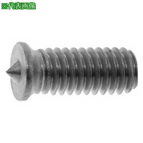 ■SUNCO ドウメッキパチット(スポットネジ) 3×6 (30本入)〔品番:00000810003000600030P〕【3552216:0】[送料別途見積り][掲外取寄][店頭受取不可]