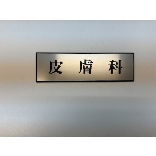 ■光 サインプレート 皮膚科《5枚入》〔品番:PL11030〕【3591795×5:0】[送料別途見積り][掲外取寄][店頭..