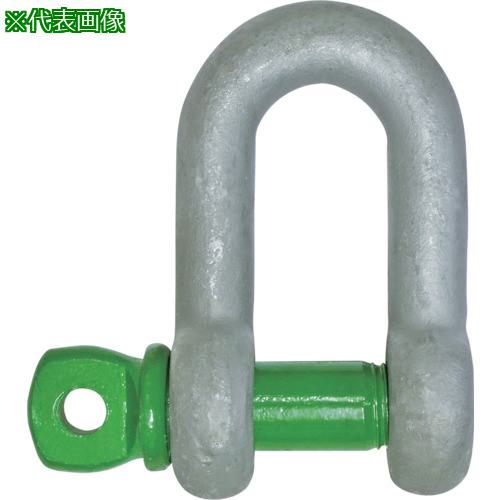 ■TAIYO グリーンピンスタンダードシャックル ストレート・捻込 35t(3300136)〔品番:GPS35T〕【3613519:0】[法人・事業所限定][外直送元][店頭受取不可]
