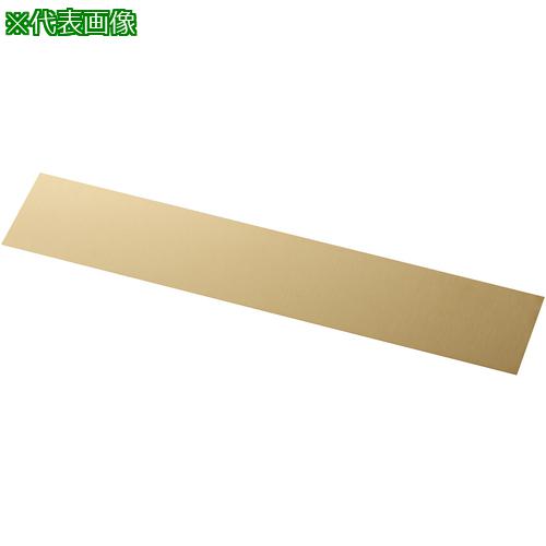 ■IWATA シムプレートCUZN〔品番:TB150-200-02〕【3686428:0】[送料別途見積り][掲外取寄][店頭受取不可](4)