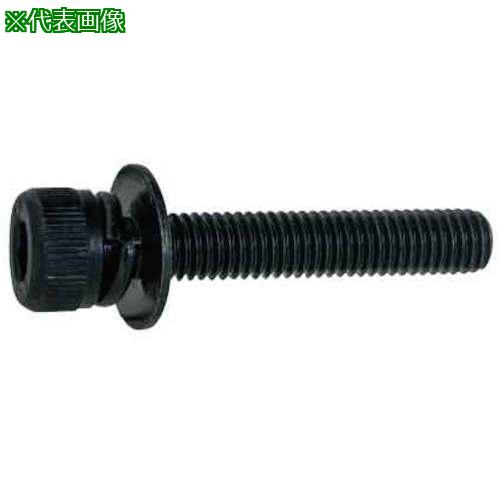 ■SUNCO 10.9 WA-SP(P=3 アンスコ 6×15 (30本入)〔品番:A000903A006001500030P〕【3706477:0】[送料別途見積り][掲外取寄][店頭受取不可]