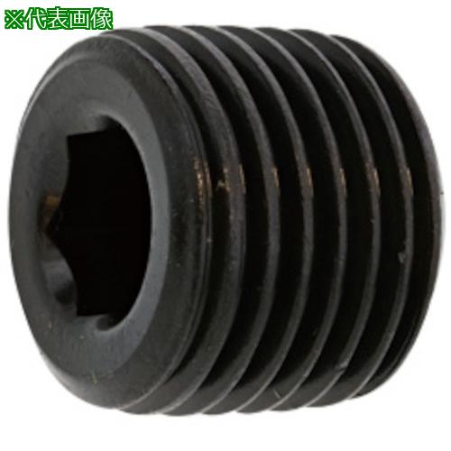 ■SUNCO プラグA(浮き PT 1”1/4 (1本入)〔品番:A000570081200000001P〕【3707818:0】[送料別途見積り][掲外取寄][店頭受取不可]