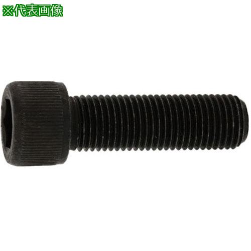 ■SUNCO ステンCAP(UNF #5-44×3/8 (1本入)〔品番:A002004070508030001P〕【3714574:0】[送料別途見積り][掲外取寄][店頭受取不可]