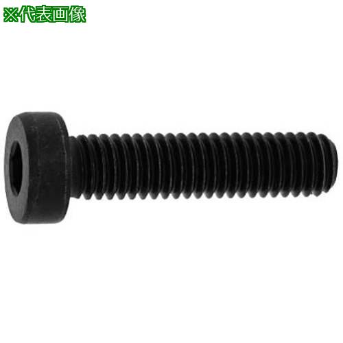 ■SUNCO 三価ホワイト ローヘッドCAP 互省製 4×16 (30本入)〔品番:A000L00G004001600330P〕【3718799:0】[送料別途見積り][掲外取寄][店頭受取不可]