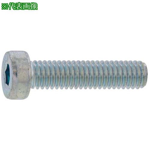 ■SUNCO ニッケル ローヘッドCAP 3 X 8 (30本入)〔品番:A000L000003000800530P〕【3...