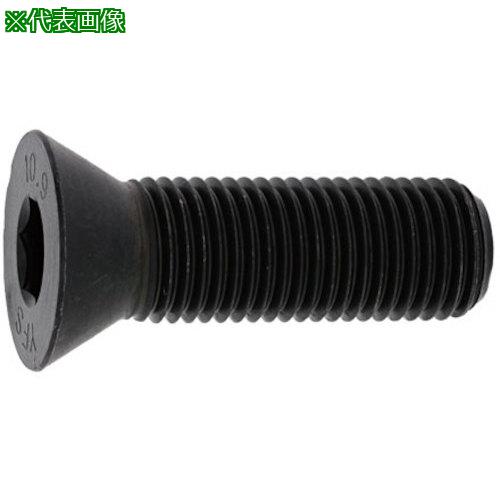 ■SUNCO サラCAP 20×140 (1本入)〔品番:A000200002001400001P〕【3723100:0】[送料別途見積り][掲外取寄][店頭受取不可]