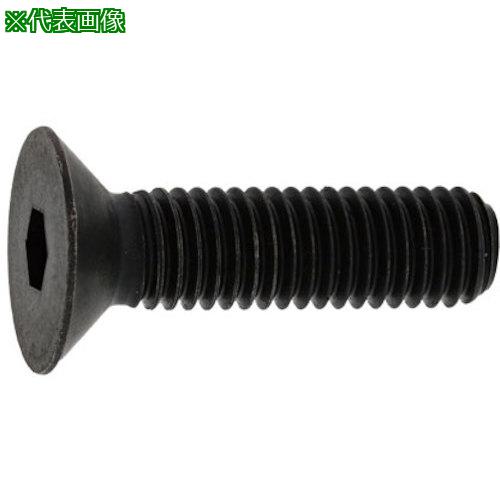 ■SUNCO サラCAP(GOSHO 10×50 (10本入)〔品番:A000200G010005000010P〕【3727410:0】[送料別途見積り][掲外取寄][店頭受取不可]