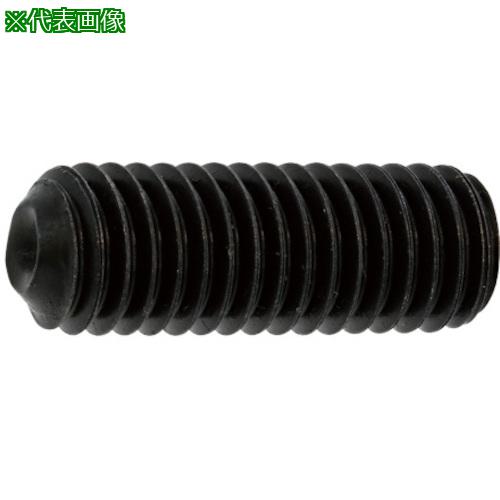 ■SUNCO ニッケル HS(クボミ先 5×10 (110本入)〔品番:A00050000050010005110P〕【3727506:0】[送料別途見積り][掲外取寄][店頭受取不可]