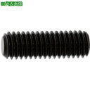 ■SUNCO 三価ホワイト HS(アンスコ(平先 10×45 (8本入)〔品番:A000501A01000450038P〕【3728495:0】[送料別途見積り...