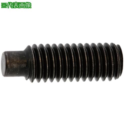 ■SUNCO ユニクロ HS(アンスコ(棒先 8×35 (6本入)〔品番:A000503A00800350016P〕【3728615:0】[送料別途見積り][掲外取寄][店頭受取不可]