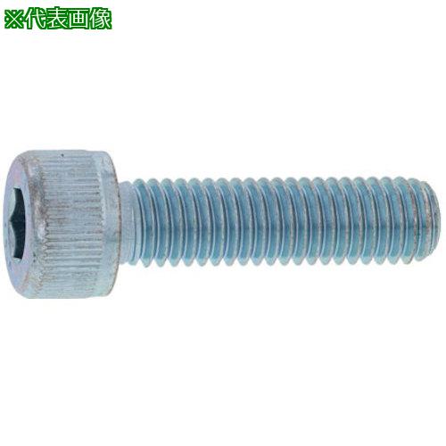 ■SUNCO ステンCAP(六角穴付きボルト)(アンスコ 2.5 X 20 (50本入)〔品番:A002000A002502000050P〕【3729859:0】[送料別途見積り][掲外取寄][店頭受取不可]