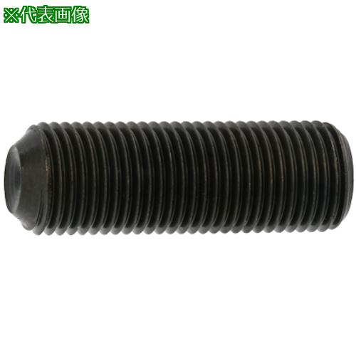 ■SUNCO ステンレスHSクボミ先 細目 P1.0 10×20 (2本入)〔品番:A002500601000200002P〕【3730660:0】[送料別途見積り][掲外取寄][店頭受取不可]