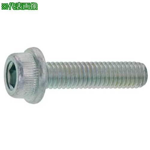 ■SUNCO 三価ブラック フランジソケット 3×6 (20本入)〔品番:A0003000003000600420P〕【3732923:0】[送料別途見積り][掲外取寄][店頭受取不可]