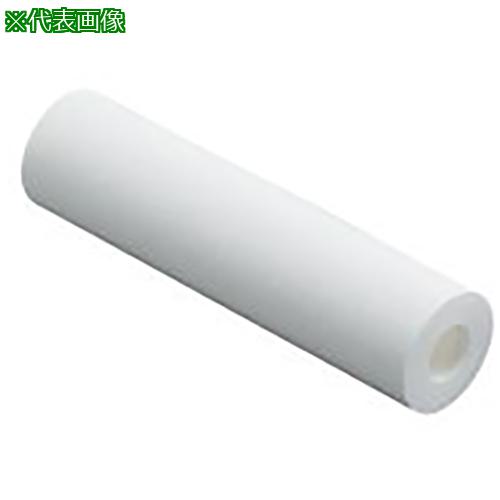 ■AS フィルター PBI1P10O63 〔品番:3894102〕【3740103:0】[送料別途見積り][法人・事業所限定][掲外取..