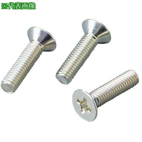 ■AS +皿小ネジ M3×10 鉄白 100本 〔品番:428017〕【3740812:0】[送料別途見積り][掲外取寄][店頭受取不可]