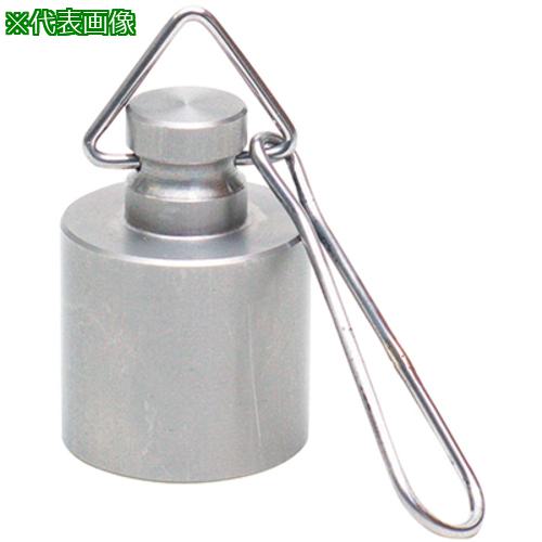 ■AS 特殊分銅 精密分銅型環付 10g 〔品番:3848911〕【3750632:0】[送料別途見積り][掲外取寄][店頭受取不可]