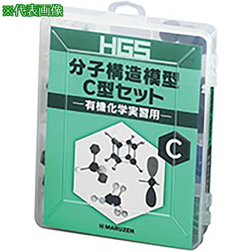 ■AS HGS分子構造模型 C型セット 〔品番:3847603〕【3755012:0】[送料別途見積り][掲外取寄][店頭受取不..