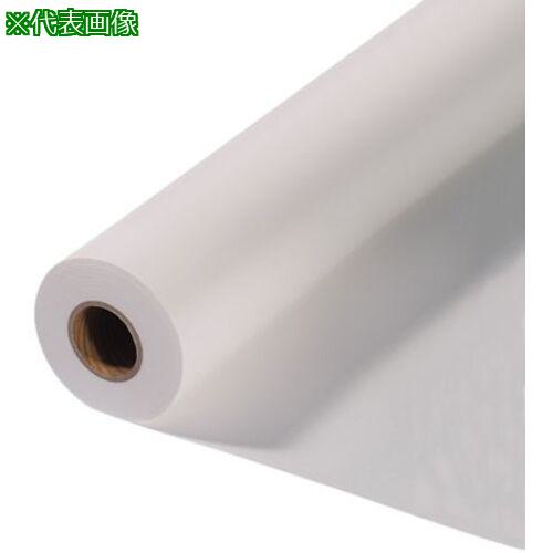 ■AS SECN_0914_30 大判コピー用紙〔品番:4281402〕【3762842:0】[送料別途見積り][掲外取寄][店頭受取..