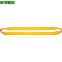 ■TAIYO インカラウンドスリング JIS HN 10t×6.5m(1014364)〔品番:INKJHN10X6.5〕【3828758:0】[法人・事業所限定...