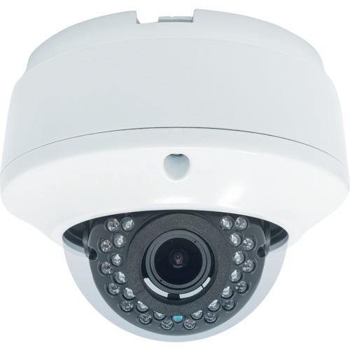 ■MT SDカードレコーダー搭載2.1メガピクセルドーム型AHDカメラ〔品番:MTDSD03FHD〕【4026884:0】[法人・事業所限定][外直送元][店頭受取不可]